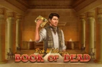 book-of-dead-img